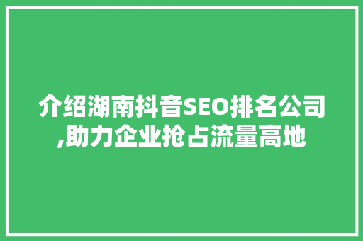 介绍湖南抖音SEO排名公司,助力企业抢占流量高地