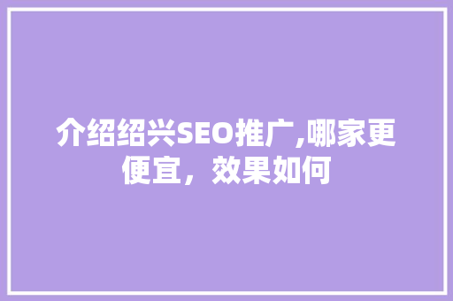 介绍绍兴SEO推广,哪家更便宜，效果如何