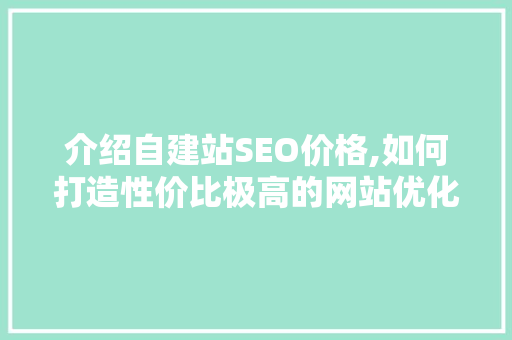 介绍自建站SEO价格,如何打造性价比极高的网站优化方法