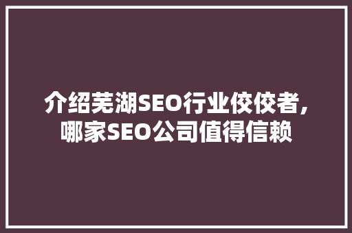 介绍芜湖SEO行业佼佼者,哪家SEO公司值得信赖