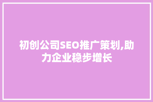 初创公司SEO推广策划,助力企业稳步增长  第1张