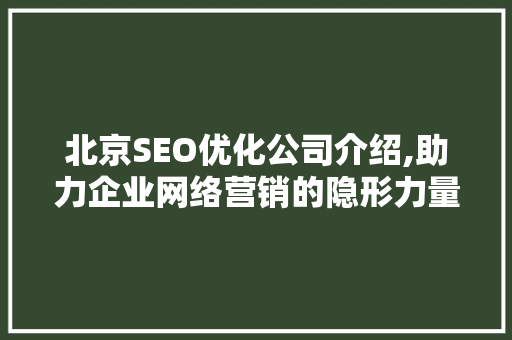 北京SEO优化公司介绍,助力企业网络营销的隐形力量