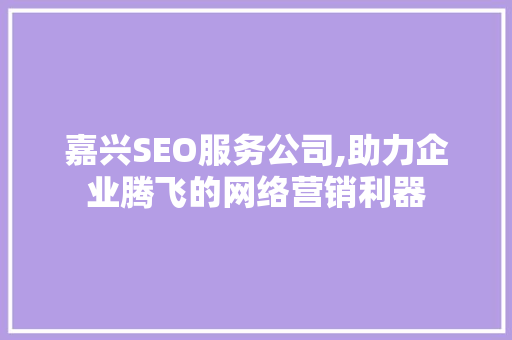 嘉兴SEO服务公司,助力企业腾飞的网络营销利器  第1张