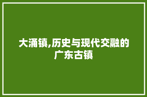 大涌镇,历史与现代交融的广东古镇  第1张