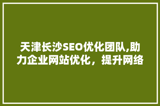 天津长沙SEO优化团队,助力企业网站优化，提升网络竞争力