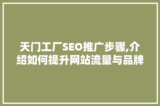天门工厂SEO推广步骤,介绍如何提升网站流量与品牌知名度  第1张