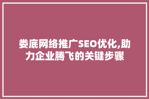 娄底网络推广SEO优化,助力企业腾飞的关键步骤
