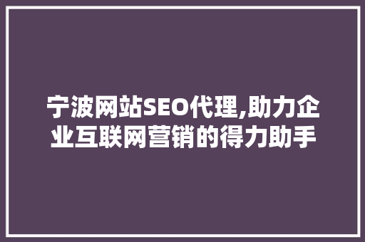 宁波网站SEO代理,助力企业互联网营销的得力助手  第1张