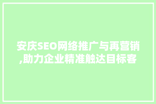 安庆SEO网络推广与再营销,助力企业精准触达目标客户