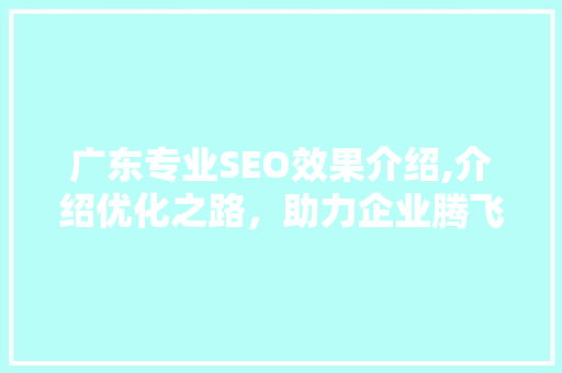 广东专业SEO效果介绍,介绍优化之路，助力企业腾飞  第1张