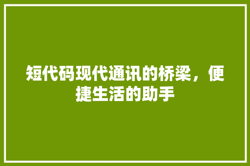 短代码现代通讯的桥梁，便捷生活的助手