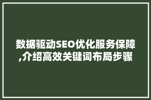 数据驱动SEO优化服务保障,介绍高效关键词布局步骤