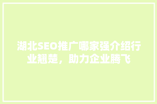 湖北SEO推广哪家强介绍行业翘楚，助力企业腾飞  第1张