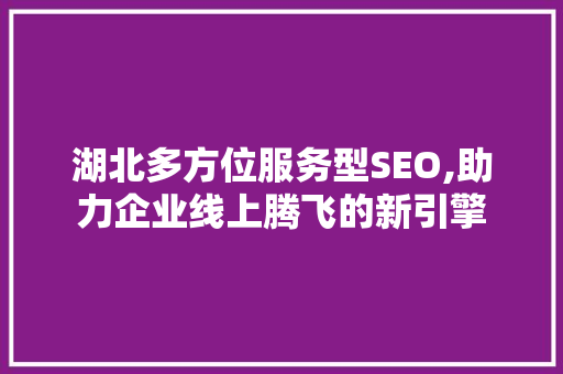 湖北多方位服务型SEO,助力企业线上腾飞的新引擎  第1张