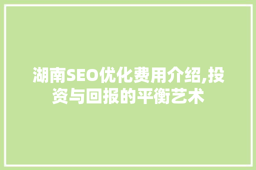 湖南SEO优化费用介绍,投资与回报的平衡艺术