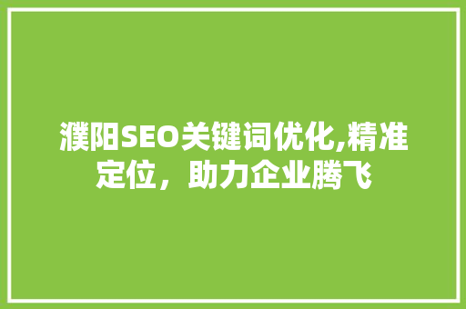 濮阳SEO关键词优化,精准定位，助力企业腾飞