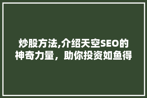 炒股方法,介绍天空SEO的神奇力量，助你投资如鱼得水