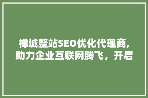 禅城整站SEO优化代理商,助力企业互联网腾飞，开启数字营销新时代