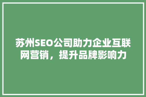 苏州SEO公司助力企业互联网营销，提升品牌影响力