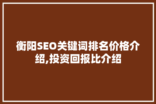 衡阳SEO关键词排名价格介绍,投资回报比介绍  第1张