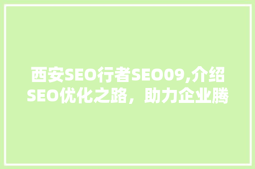 西安SEO行者SEO09,介绍SEO优化之路，助力企业腾飞