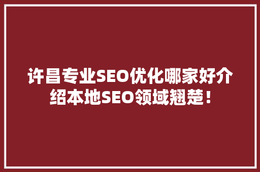许昌专业SEO优化哪家好介绍本地SEO领域翘楚！