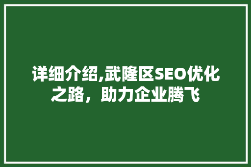 详细介绍,武隆区SEO优化之路，助力企业腾飞