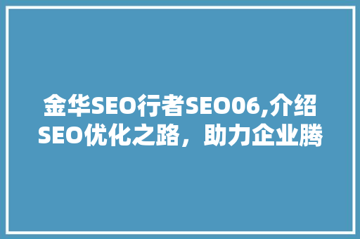 金华SEO行者SEO06,介绍SEO优化之路，助力企业腾飞