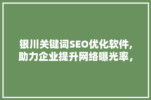 银川关键词SEO优化软件,助力企业提升网络曝光率，抢占市场先机