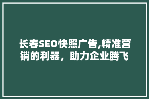 长春SEO快照广告,精准营销的利器，助力企业腾飞  第1张