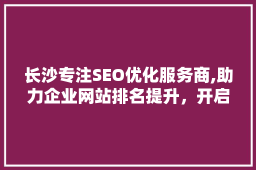 长沙专注SEO优化服务商,助力企业网站排名提升，开启网络营销新篇章