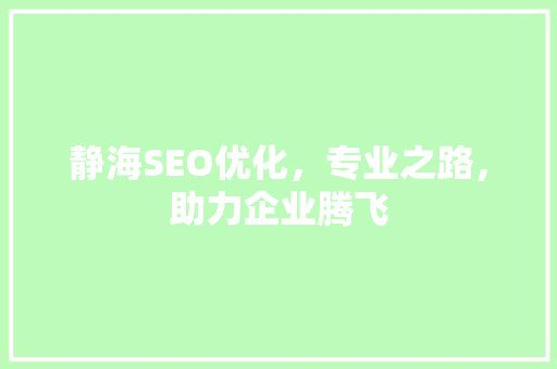 静海SEO优化，专业之路，助力企业腾飞
