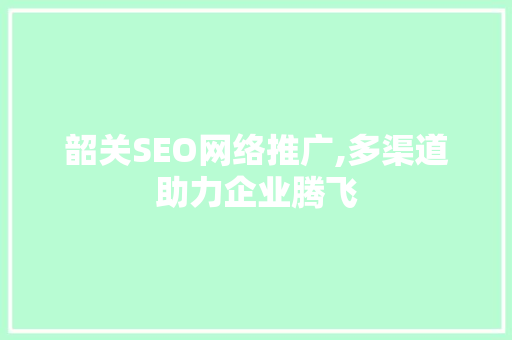 韶关SEO网络推广,多渠道助力企业腾飞