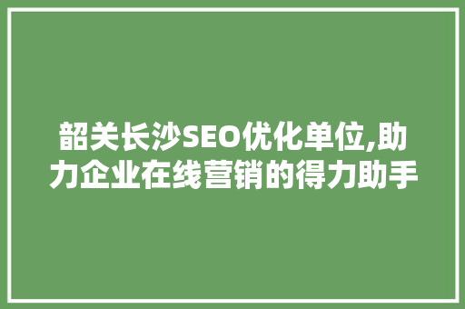 韶关长沙SEO优化单位,助力企业在线营销的得力助手  第1张