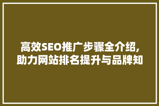 高效SEO推广步骤全介绍,助力网站排名提升与品牌知名度增长