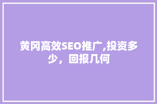 黄冈高效SEO推广,投资多少，回报几何