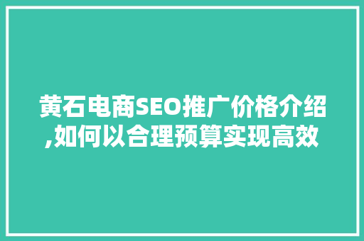 黄石电商SEO推广价格介绍,如何以合理预算实现高效营销