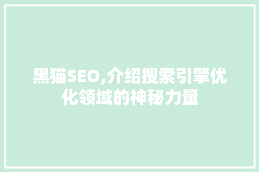 黑猫SEO,介绍搜索引擎优化领域的神秘力量