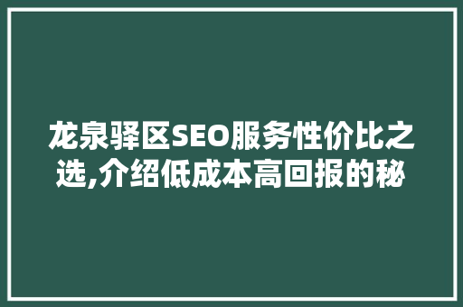 龙泉驿区SEO服务性价比之选,介绍低成本高回报的秘密