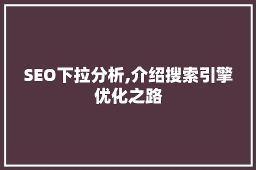 SEO下拉分析,介绍搜索引擎优化之路  第1张
