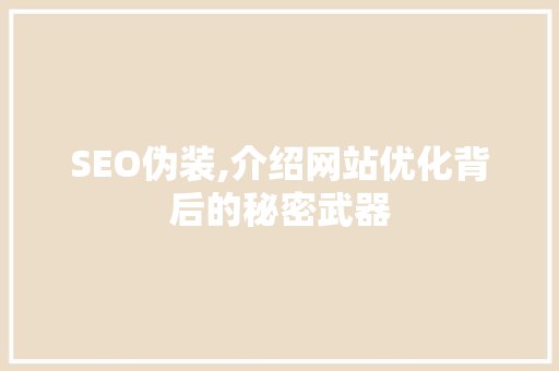 SEO伪装,介绍网站优化背后的秘密武器  第1张