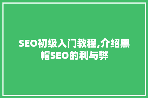 SEO初级入门教程,介绍黑帽SEO的利与弊