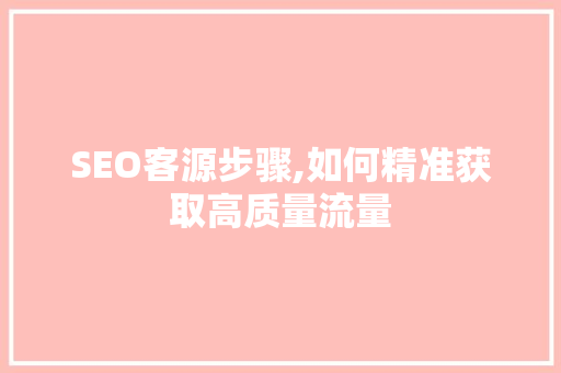 SEO客源步骤,如何精准获取高质量流量