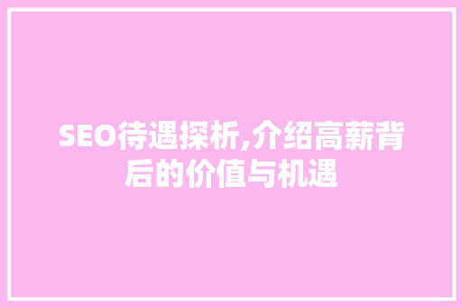 SEO待遇探析,介绍高薪背后的价值与机遇