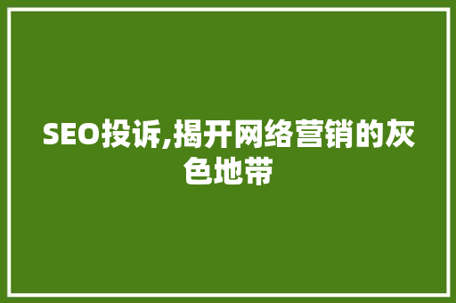 SEO投诉,揭开网络营销的灰色地带  第1张