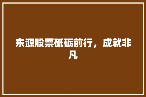 东源股票砥砺前行，成就非凡