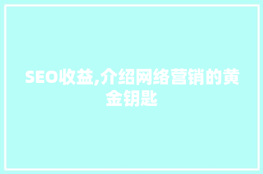 SEO收益,介绍网络营销的黄金钥匙  第1张