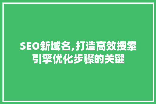 SEO新域名,打造高效搜索引擎优化步骤的关键