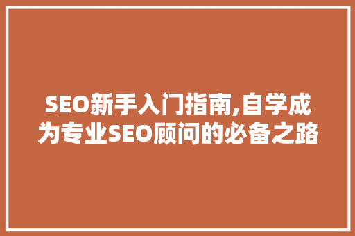 SEO新手入门指南,自学成为专业SEO顾问的必备之路