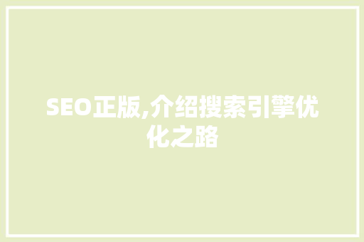 SEO正版,介绍搜索引擎优化之路